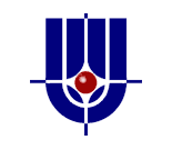 big-logo-kurchatovsliy_institut